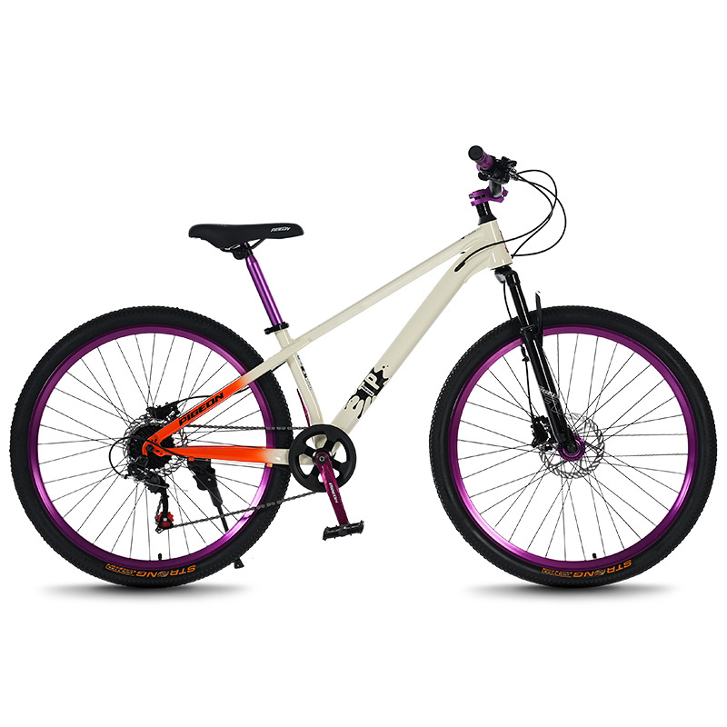 Rower górski młodzieżowy i dla – Mountain Biking Youth recenzja i cena